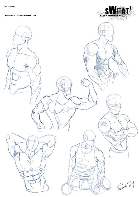 buff body reference|muscle pose reference.